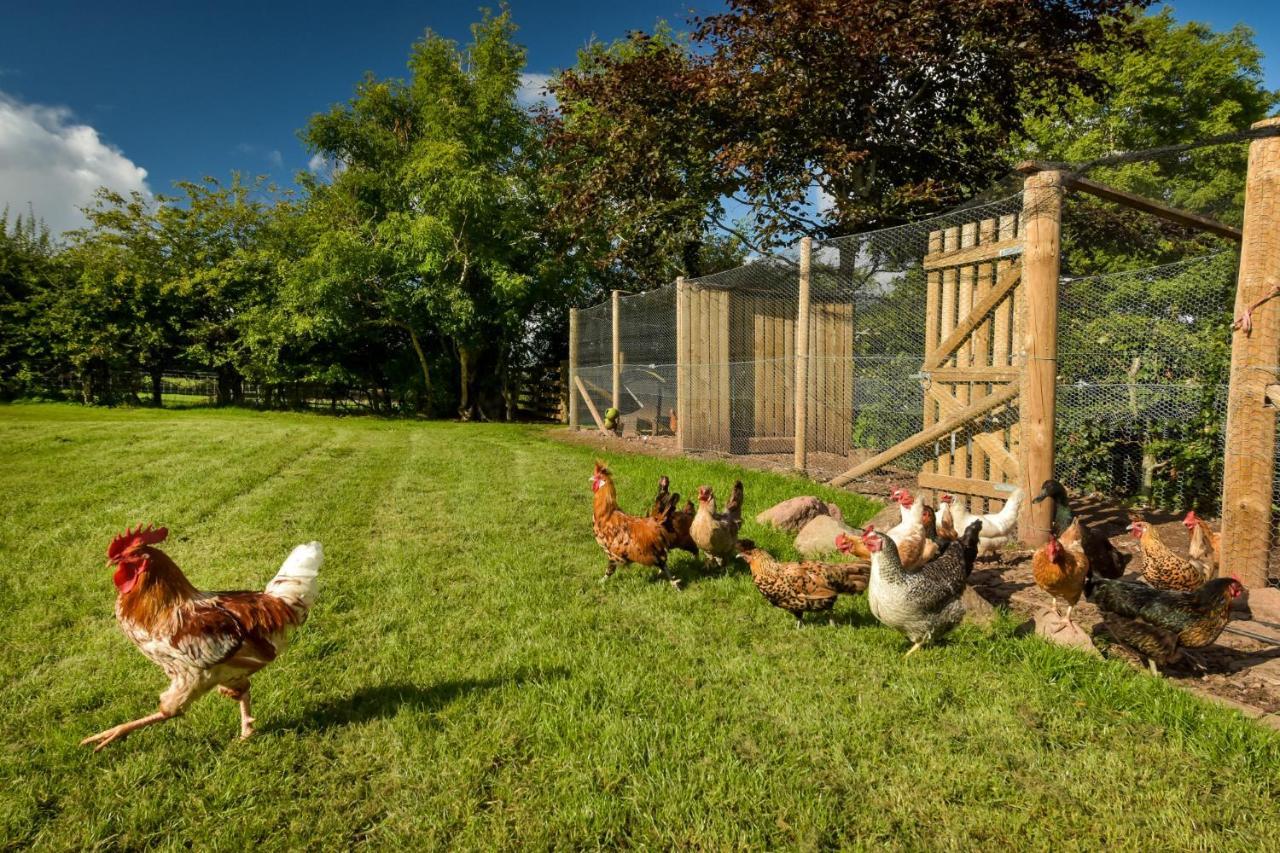 The Studio At Pitmeadow Farm Dunning Exterior photo